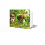 Jak zintegrowanymi metodami walczyć z warrozą