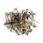 Knoty do tealight z wosku pszczelego 3cm